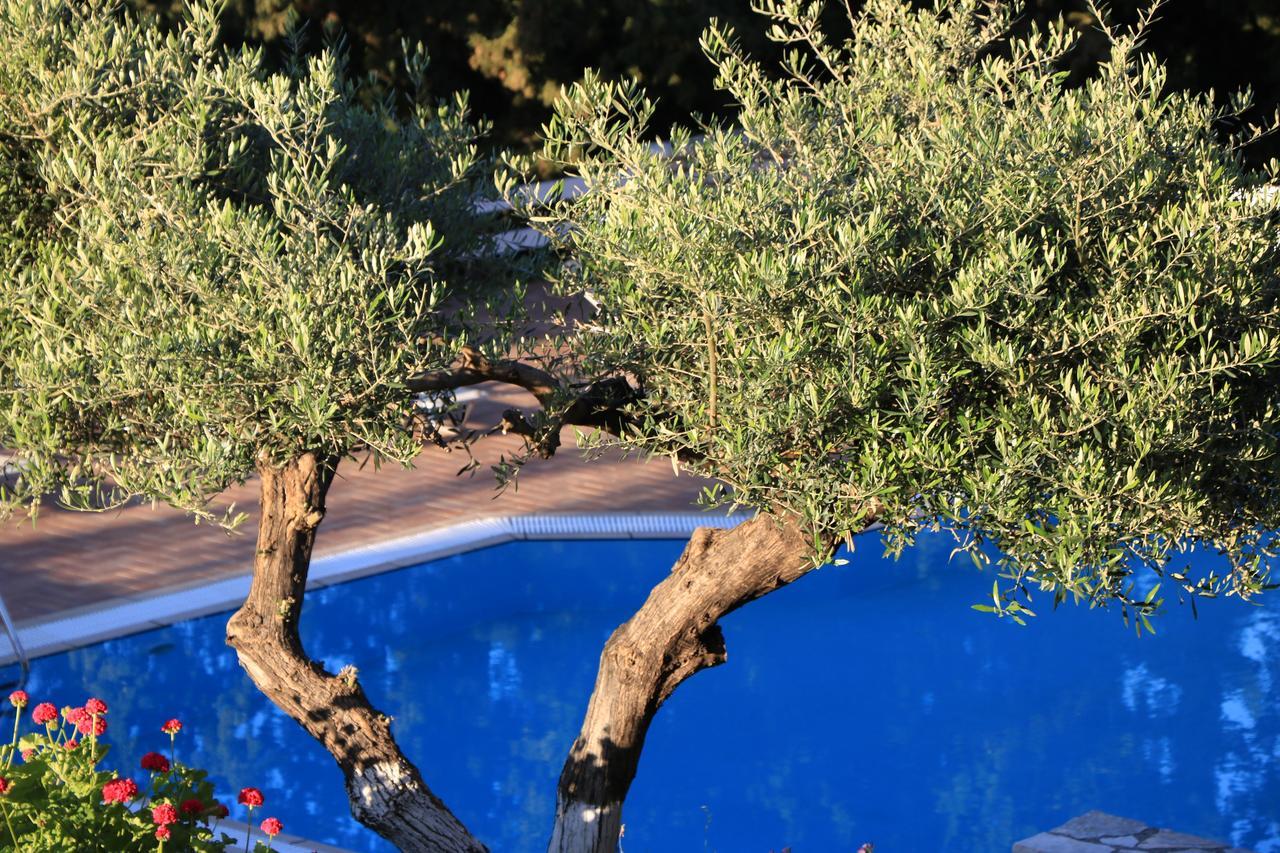 Myrto Homes Lefkada Agios Nikitas Greece Kültér fotó